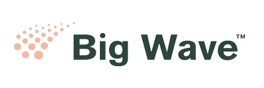 Big Wave Company B.V.